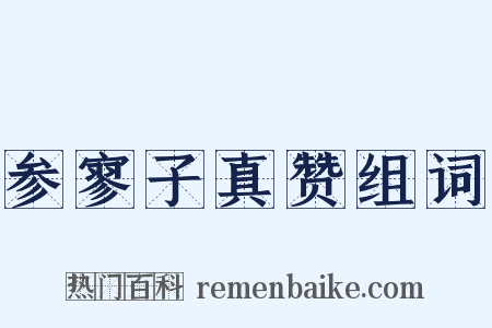 参寥子真赞组词是什么意思的图片